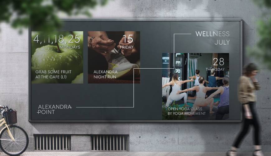 柞水县画册设计公司如何进行品牌审核